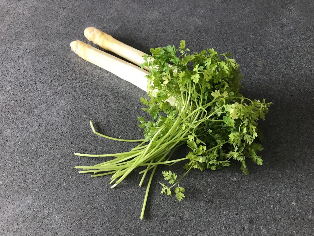 Steamed white asparagus and fresh chervil © cadwu